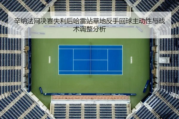 xin-na-fa-wang-jue-sai-shi-li-hou-ha-lei-zhan-cao-di-fan-shou-hui-qiu-zhu-dong-xing-yu-zhan-shu-tiao-zheng-fen-xi-2-414.jpg