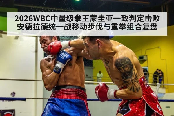 boxing knockout punch
